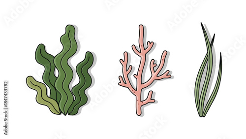 Illustrative Collection of Aquatic Plant and Coral Forms in a Clean Vector Style