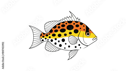Vibrant spotted fish illustration with orange yellow and black markings for aquatic themes