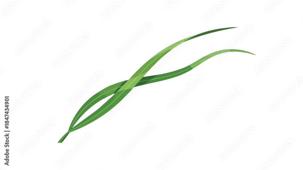Obraz premium Ethereal green grass blades gracefully intertwining in a delicate dance against a pristine white canvas