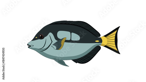 Stylized illustration of a singular tropical fish swimming gracefully in clear blue waters, isolated on a white background, showcasing vibrant