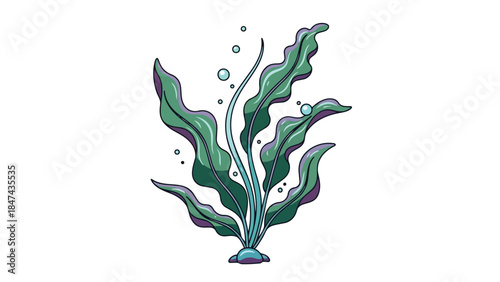 Vibrant aquatic plant illustration with flowing fronds and gentle bubbles floating upwards.