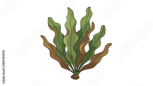 Delicate aquatic plant with flowing green and brown fronds, symbolizing marine life and oceanic ecosystems