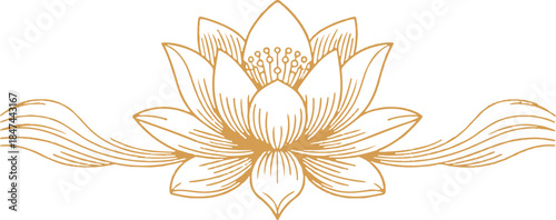 Golden lotus line art style vector illustration. A delicate lotus flower in a simple, elegant vector design, with sharp details and clean lines.