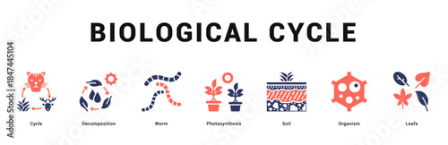 Biological Cycle Modern and clean web banner illustration featuring thematic icons for visual communication