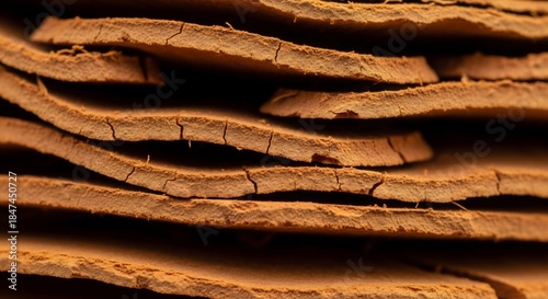Close-up of stacked cork bark sheets showing natural texture and cracks.