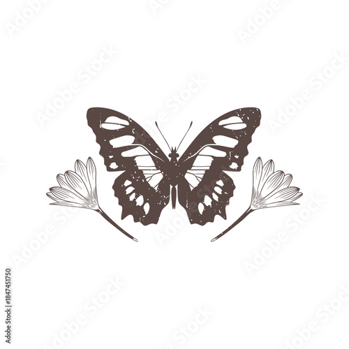 Butterfly vector icon