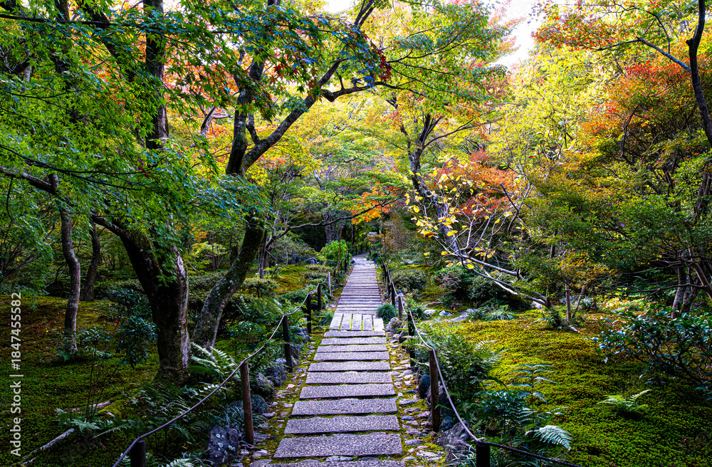 Obraz premium 京都、宝筐院の庭園
