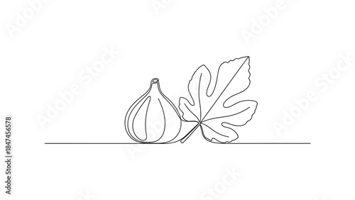 Minimalist fig and leaf one line art vector illustration