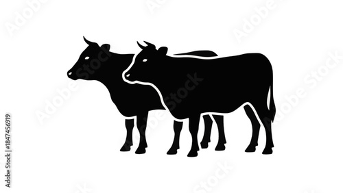 Vector icon of two cattle. Black silhouette for a farm, beef, or butcher shop logo. Minimalist livestock graphic illustration