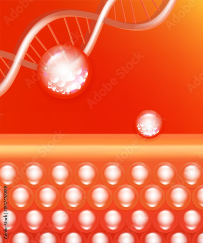 Hyaluronic acid and Niacinamide hair and skin solutions ad, red collagen serum drops into skin cell with cosmetic advertising background ready to use, illustration vector.