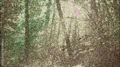 Enchanted Forest: An artistic perspective of a tranquil forest, capturing the serene ambiance of sunlight filtering through the trees, creating a harmonious and immersive experience.