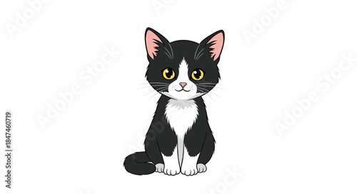 A cute and simple cartoon illustration of a black and white tuxedo kitten sitting politely and looking forward with big, curious eyes.