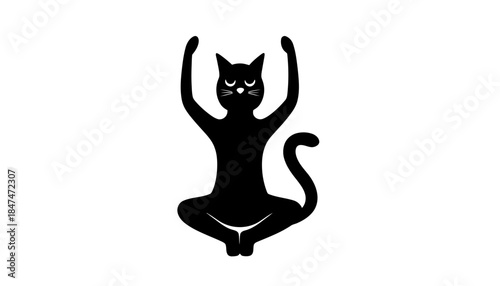 Black cat sits in a yoga pose with arms raised above its head.
