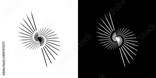 Dynamic abstract spiral sound wave rhythm lines. Circular spiral sound wave rhythm of lines. Circular futuristic abstract lines, black and white background.	