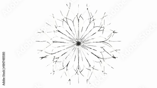 Delicate dandelion seed head floats in airy white space, symbolizing wishes and fragility.