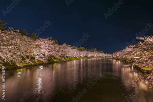 Glowing sakura reflection on water surface seen from the bridge (Hirosaki, Aomori, Japan)