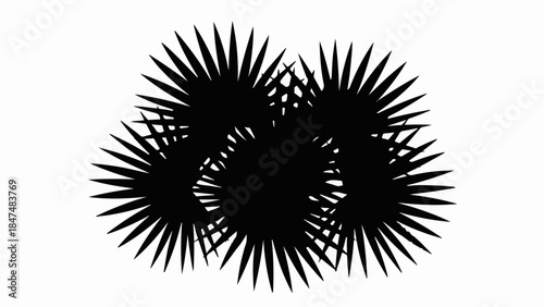 Abstract cluster of spiky, star-like shapes in silhouette