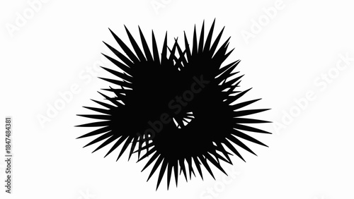 Stylized silhouette of a lush, spiky plant against a white background.
