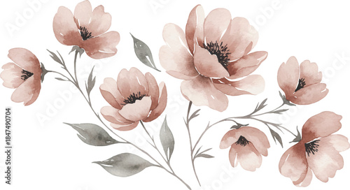 Delicate watercolor floral illustration featuring soft blush petals and subtle grey-green foliage, evoking serene natural beauty and elegant artistic charm for sophisticated design projects and decora