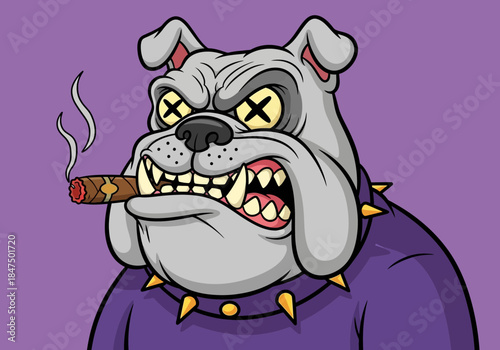 Cartoon bulldog smokes cigar wearing purple spiked collar and shirt on purple background