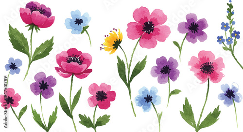 Watercolor floral collection bundle. Mega set of hand painted roses, sunflowers, poppy, hydrangea, lilies, lavender, and garden wildflowers isolated on white background.