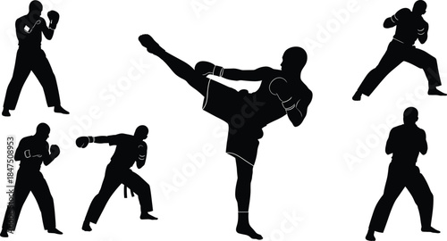 Mixed boxing and martial arts silhouette set with high kick, punches, and stances on white background combat training design