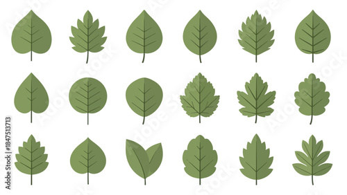 Collection of eighteen stylized green tree leaves in three rows