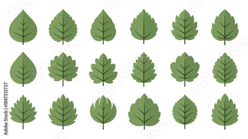 A grid of eighteen stylized green leaves with varying shapes and serrated edges