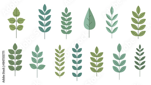 Twelve stylized illustrations of assorted leaves on white background