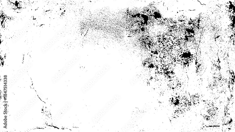 Fototapeta premium Abstract background. Monochrome texture. Image includes a effect the black and white tones.