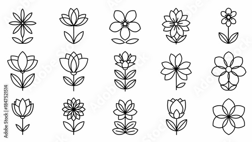 A diverse collection of minimalist flower outline icons, showcasing various floral shapes and petal arrangements in a clean, linear graphic design style for elegant decorative elements