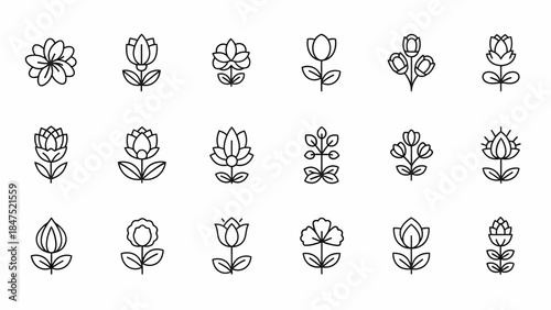 Collection of Linear Icons Representing Various Types of Flowers and Botanical Elements