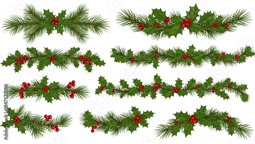 Christmas holly and pine garland swags with red berries on white background for holiday decoration and design