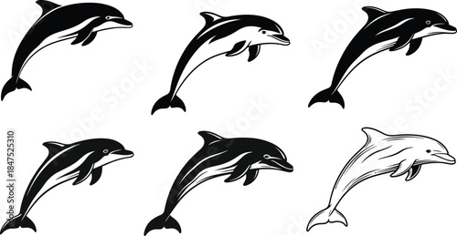 Stylized dolphin illustrations, leaping dolphin poses, black and white dolphin art, marine animal design, dolphin silhouette, vector dolphin artwork