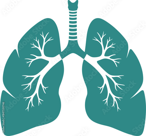 Teal human lungs and trachea icon with branches respiratory system bronchi