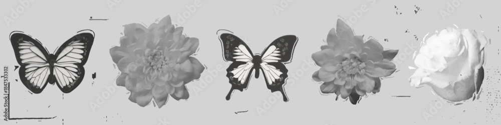 Obraz premium Flower and butterfly photocopy set isolated on background. Vector realistic illustration of vintage halftone stickers with negative grain effect, y2k bitmap collage elements, summer nature poster