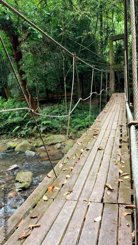 Scenic wooden bridge in lush green forest.