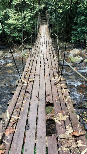 Suspension bridge in lush green forest.