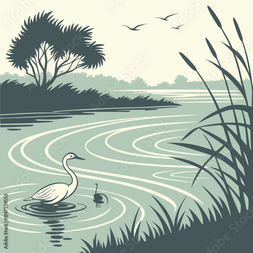 Swan on a pond with cattails and trees water