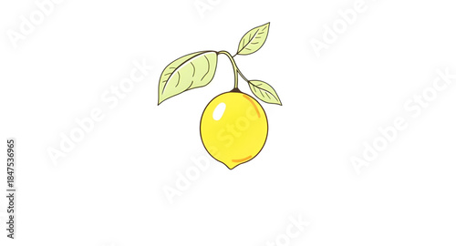 lemon, citrus, fruit, yellow, fresh, juicy, slice, zest, sour, vitamin, summer, tropical, organic, natural, food, healthy, freshness, botanical, pattern, background, seamless, repeat, decorative, desi