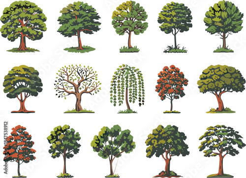 Tree illustration set, seasonal foliage, botanical diversity, cartoon trees, autumn leaves, green canopy, nature clipart, whimsical forest, landscape design elements