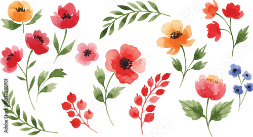 Watercolor floral vector collection. Large set of hand painted colorful roses, sunflowers, lilies, tulips, and wildflowers isolated on white background for wedding and greeting card design.