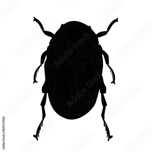 Beetle insect black silhouette graphic illustration vector. Minimalist bug icon design element for nature, biology or pest control concept. Hand drawn shape scarab beetle. May bug monochrome drawing.
