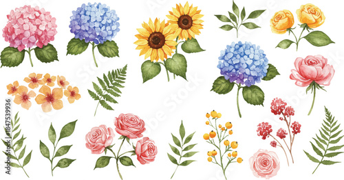 A collection of watercolor flowers and foliage arranged in a decorative pattern with sunflowers and hydrangeas