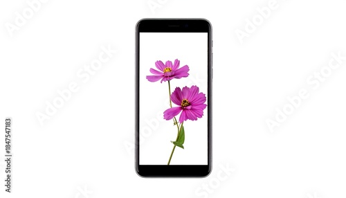 Black smartphone displaying vibrant pink flowers on a white background