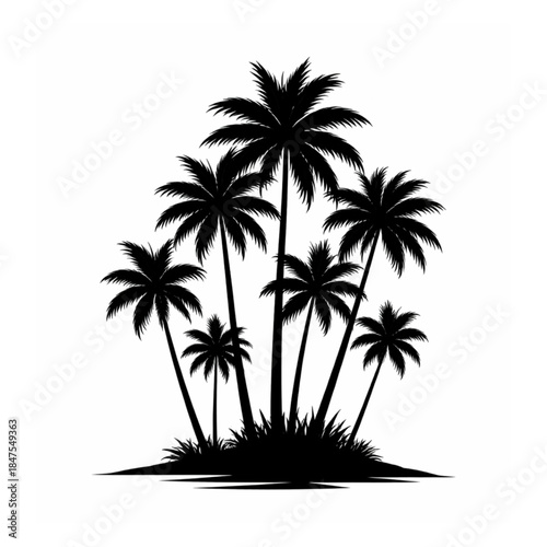 Tropical Palm Tree Silhouette on white background.
