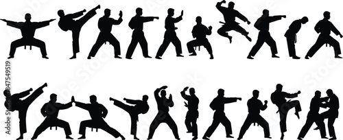 Martial arts action silhouettes, dynamic poses, combat movement, karate, taekwondo, jiu-jitsu, kickboxing, training, fighting techniques, strong martial artists, fight choreography.