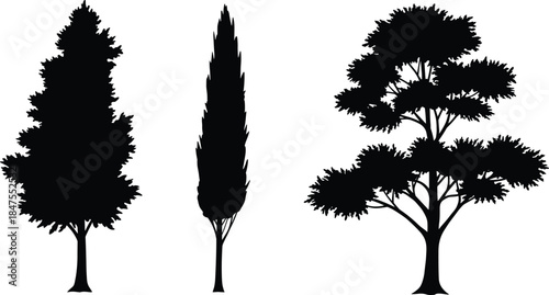 Tree silhouette illustration set, fir tree, cypress tree, deciduous tree, black vector trees, forest graphic, nature icon, isolated design