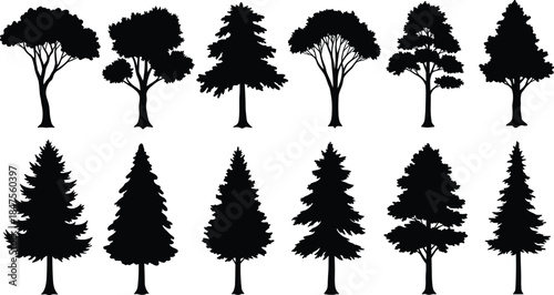Tree silhouettes collection, black forest shapes, coniferous and deciduous trees, botanical design elements, nature icons, vector illustration, isolated foliage graphics