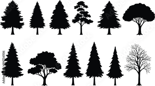 Tree silhouettes collection, black tree icons, forest shapes, botanical elements, nature design, isolated trees, vector foliage, landscape assets, seasonal trees, woodland graphics